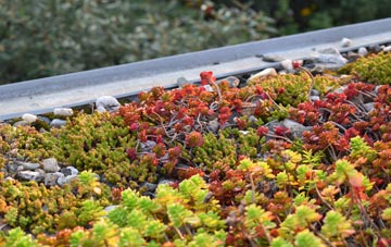 the cost of Lowe green roof installation
