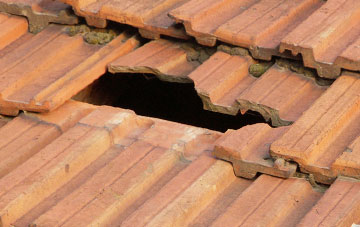 roof repair Lowe, Shropshire