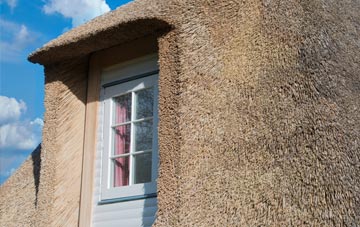 Lowe thatch roof disadvantages